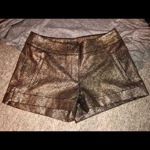 Gold & Black Metallic Daytrip Size 5 Shorts